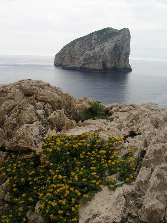 Giramondo Sardegna Affittacamere Alghero Luaran gambar