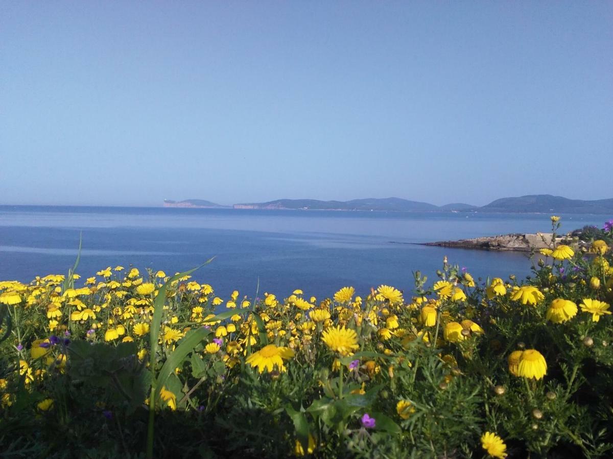 Giramondo Sardegna Affittacamere Alghero Luaran gambar